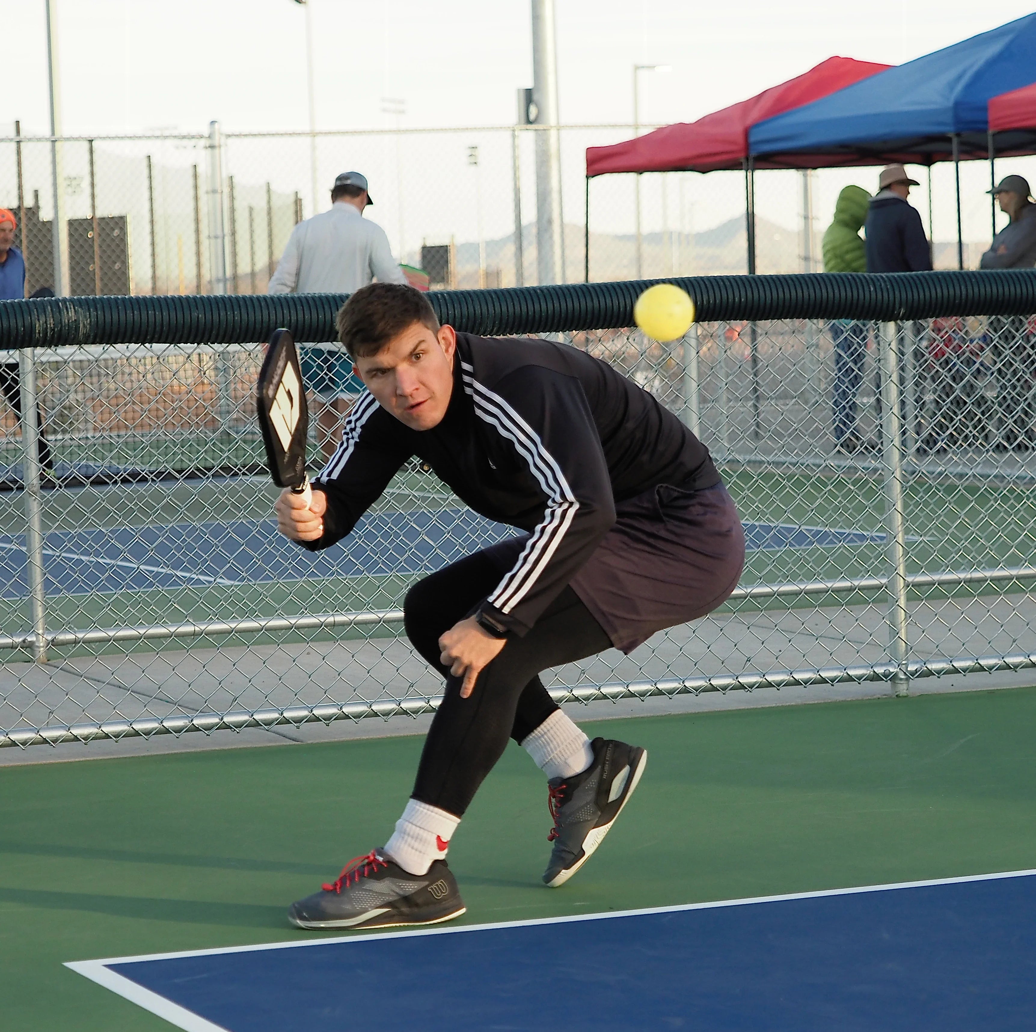 Professional Long Handle Pickleball Rackets 60% – Hudef Sport